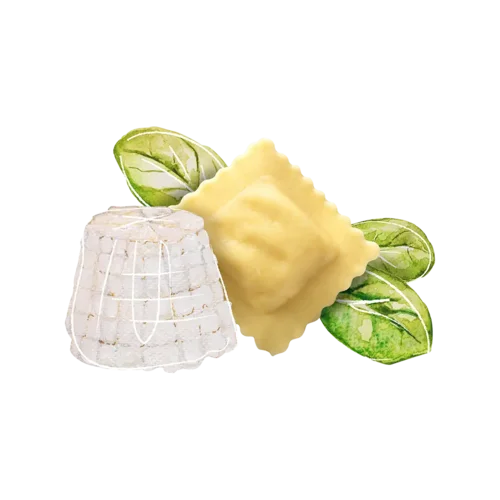 Raviolo Ricotta Spinaci