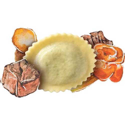 Tortelli Hirsch SAISON