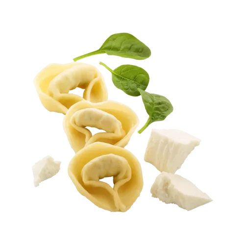 Tortelloni Ricotta e Spinaci