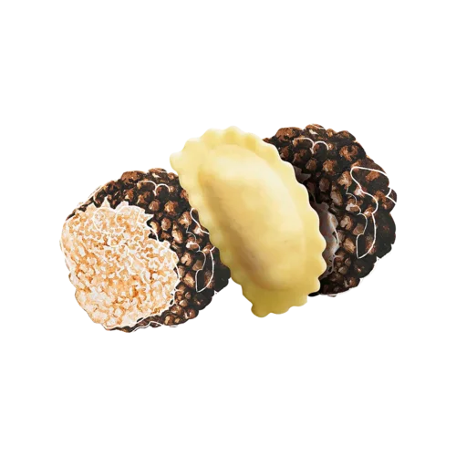 Agnolotti Tartufo Aestivum